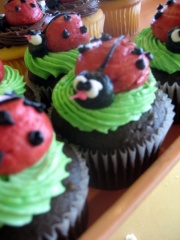 Bug Cupcakes