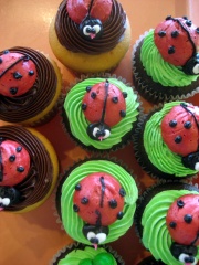 Bug Cupcakes